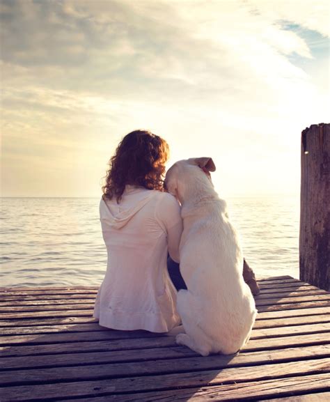 qantas travelling with pets.